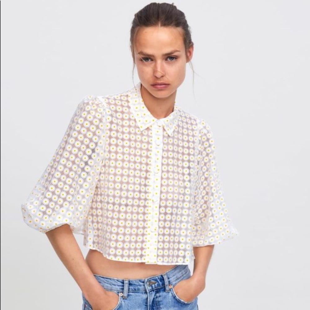Zara daisy print organza top
